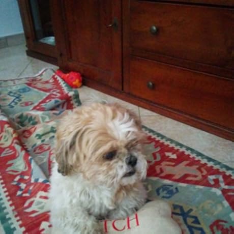 Dive Into Python: Mark Pilgrim: 9781441413024: Amazon.com: Books