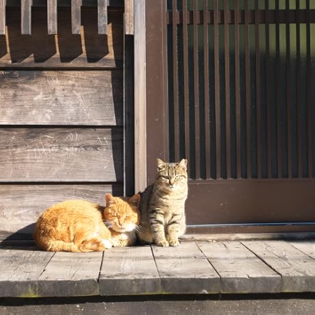 初めて読む人のための古典ハンドブック 712D4h79rKL.jpg