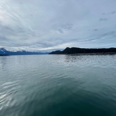 Wireless Presentation Clicker for PowerPoint Presentations, USB Dongle Presenter Remote with Laser Pointer Slide Clickers for Mac/Windows/Linux, Computer/Laptop, Google Slide/PPT/Keynote