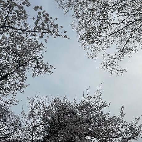 基本の和食 基本の和食 (パート2) (オレンジページブックス―さらに料理を