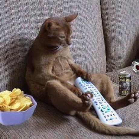 【限定2500部】【入手困難】ゴッドファーザー 三部作 フィルムセル 額装 Amazon.co.jp: ゴッドファーザー PART III [DVD] : アル