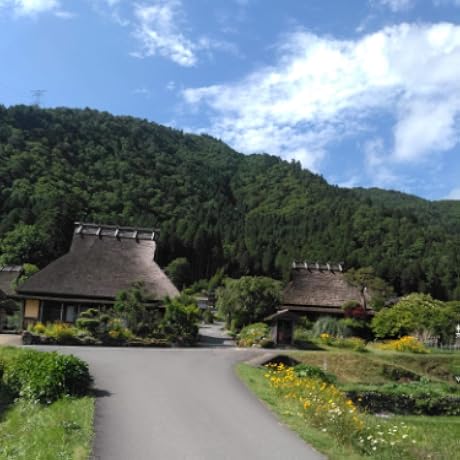 呼吸の事典 呼吸の事典 呼吸の事典 | 有田 秀穂 |本 | 通販 | Amazon