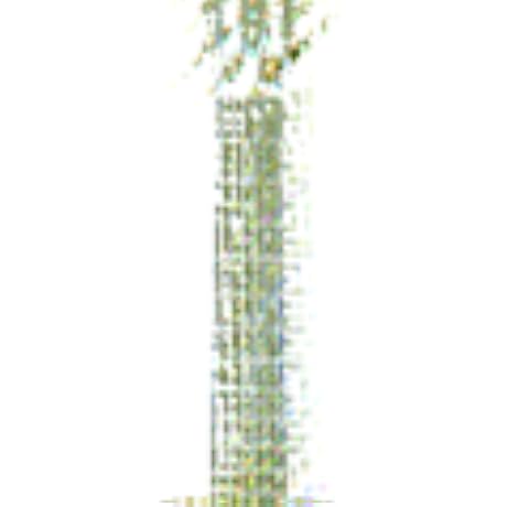 Amazon.co.jp: アイヌ・北方民族の芸能: ミュージック