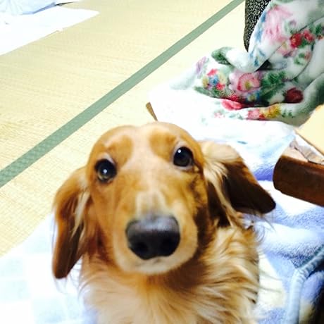 Amazon.co.jp: おバカちゃん注意報 ~ ありったけの愛