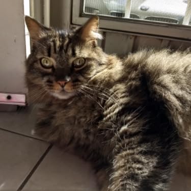 CATALOGUE 1987-2016 初回限定盤Ａ Amazon.co.jp: CATALOGUE 1987-2016 (初回限定盤A): ミュージック