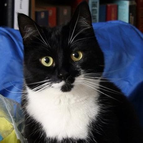 洋書 Gods of Air & Darkness by Richard Mooney 洋書 Gods of Air & Darkness by Richard Mooney Gods of Air