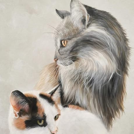 ＢＬDVD　中村春菊　Hybrid Child BLDVD 中村春菊 Hybrid Child 511vHjJKeqL._AC_SY200_QL15_.jpg