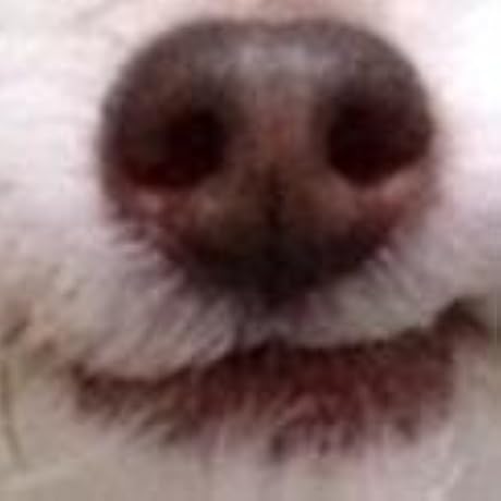 ooioo feather float　アナログ　限定版　ブルー　ボアダムス ooioo feather float アナログ 限定版 ブルー ボアダムス Amazon