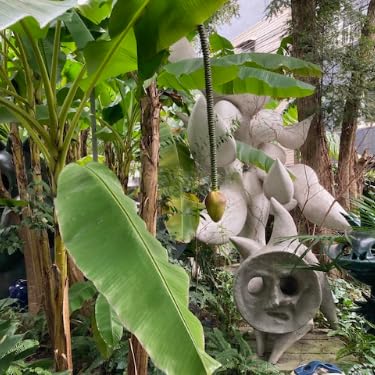 聖なる旅 ピ－スフル・ウォリア－ 聖なる旅: ピースフル・ウォリアー | ダン ミルマン, Millman