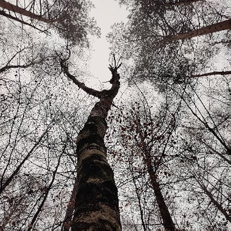 Pomodoro Timer Cube, Custom Pomodoro, Pause & Resume, Silent, Vibrate & Adjustable Sound Alert, for ADHD, Task, Work, Study, 3/5/10/15/30/45/60min & Custom Countdown, Blue