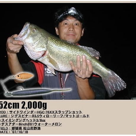 「ヒロ内藤 The Answer」DVD Amazon.co.jp: ヒロ内藤の「バスフィッシング理論 THE ANSWER