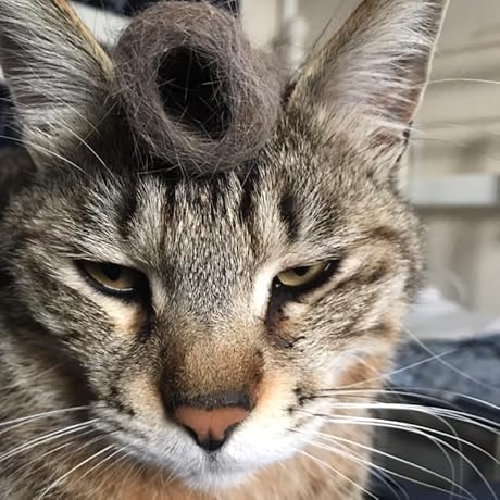 Amazon | パラジェル para polish(パラポリッシュ) ベースジェル 7g