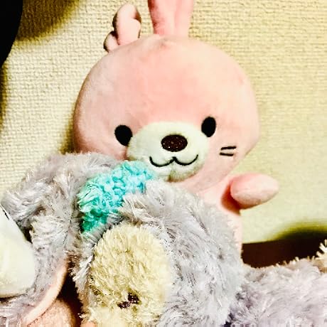 Amazon.co.jp: ステラ ルー ぬいぐるみ Duffy's Sweet Dreams