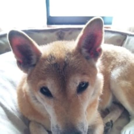 熱い絹(下) (講談社文庫 ま 1-44) | 松本 清張 |本 | 通販 | Amazon