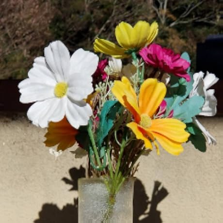 ブラウル ノベライズ Amazon.co.jp: BLACK WOLVES SAGA Bloody Nightmare & Last Hope