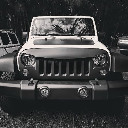 Various Artists - Tony Hawk's American Wasteland / Game