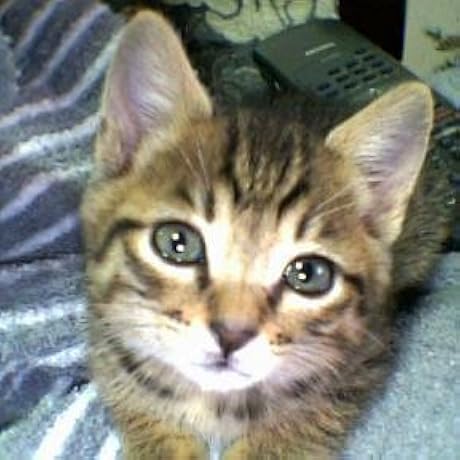 Amazon.co.jp: 1/6 コールドキャスト製塗装済完成品 新世紀