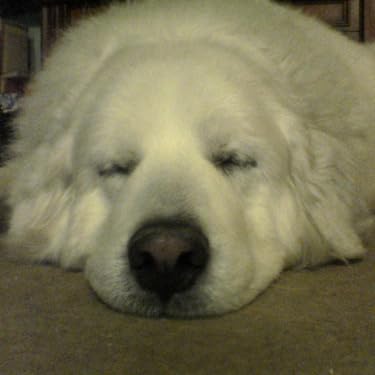 Amazon.co.jp: ぐるぐるメダマン DVD-BOX デジタルリマスター版