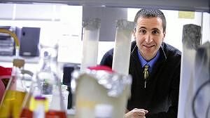 USMLE セット　合計14冊+ 今週末はMicrobiology 付き15冊！ USMLE セット 合計14冊+ 今週末はMicrobiology 付き15冊！ USMLE