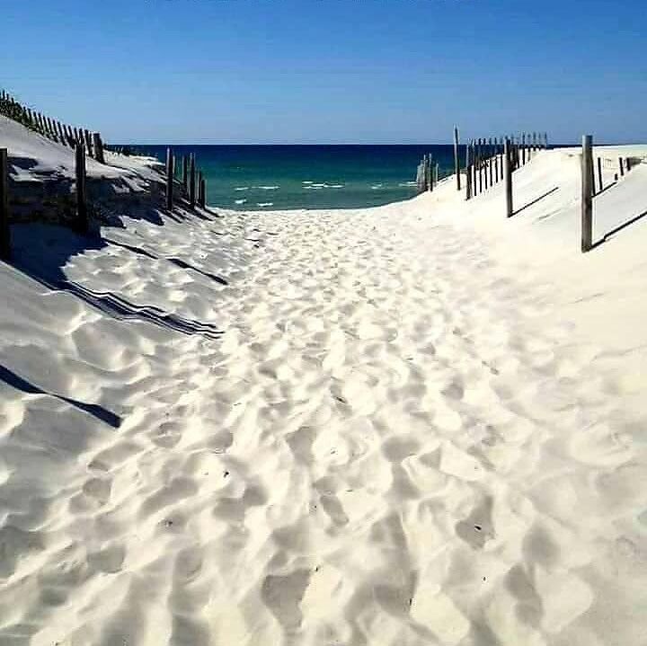 Deserie LaCrosse books, biography, latest update