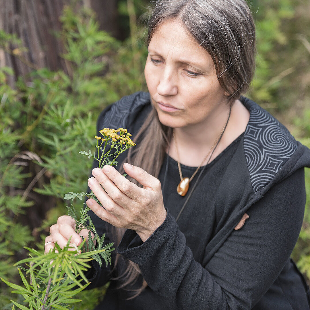 Amazon.de Baumgarten Bücher, Biographie, neuestes Aktualisierung