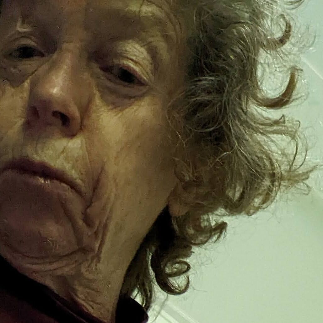 Carol Peters books, biography, latest update