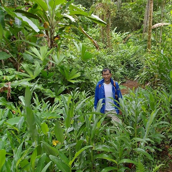 The Perfect Guide to Poison dart frogs Keeping All about Poison dart