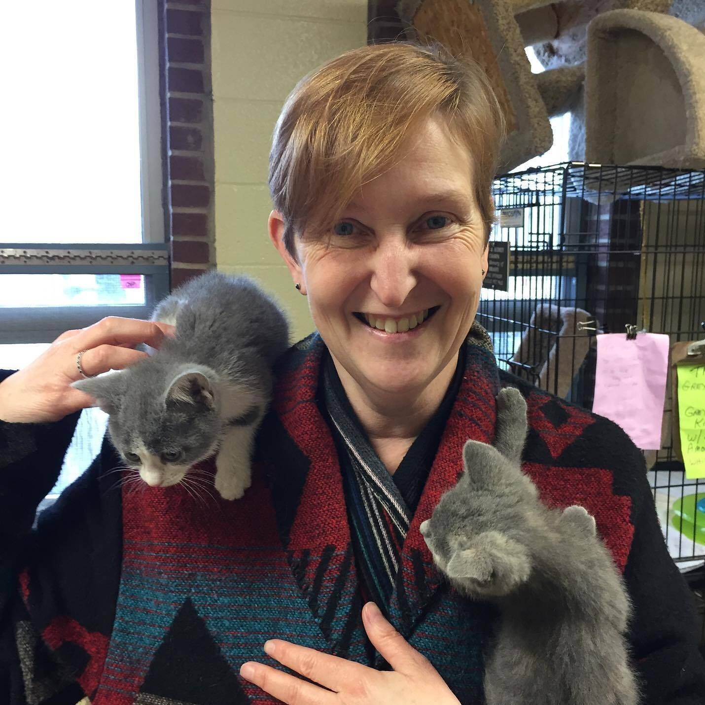 Rosalind C. Hughes books, biography, latest update