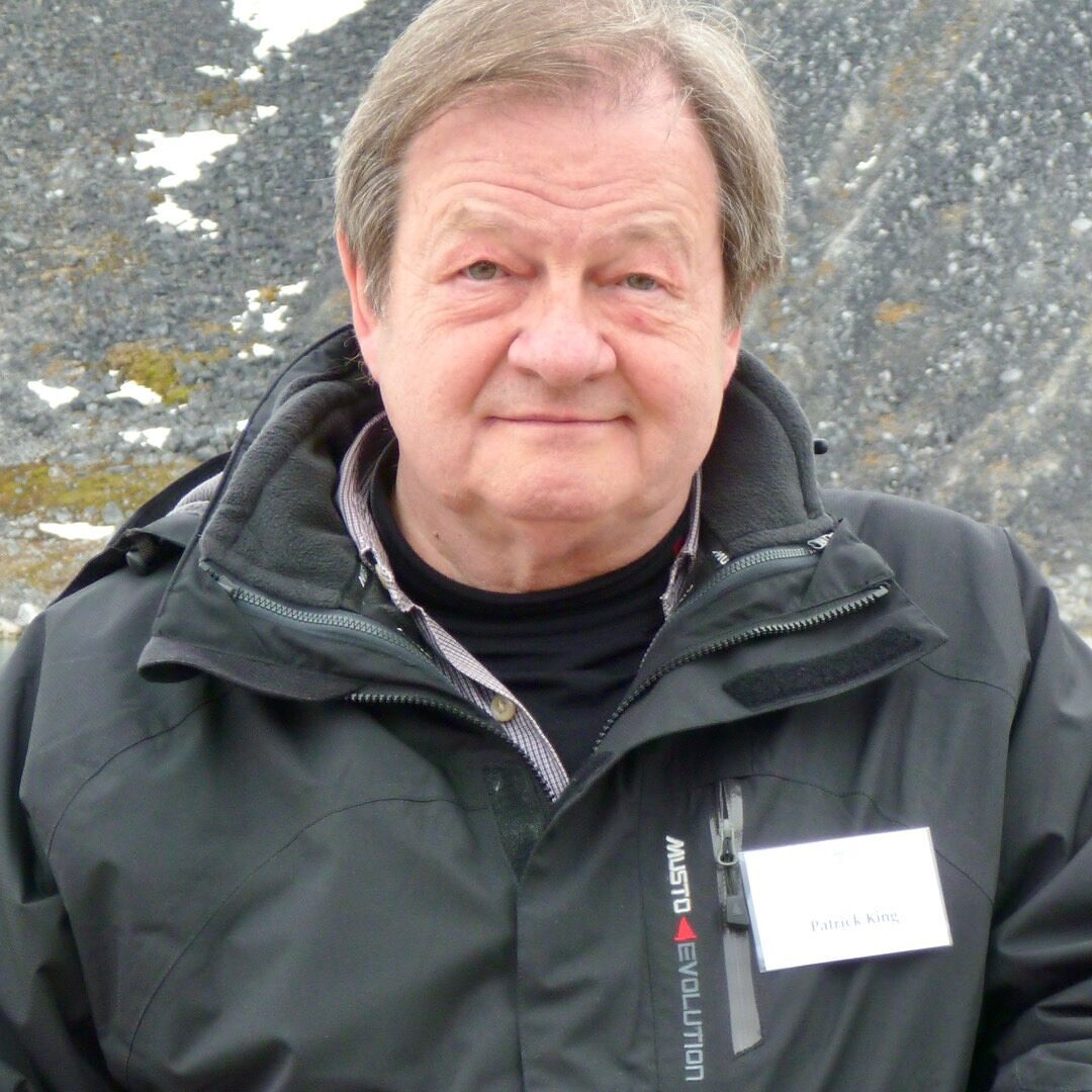 Amazon.it: Patrick King: books, biography, latest update