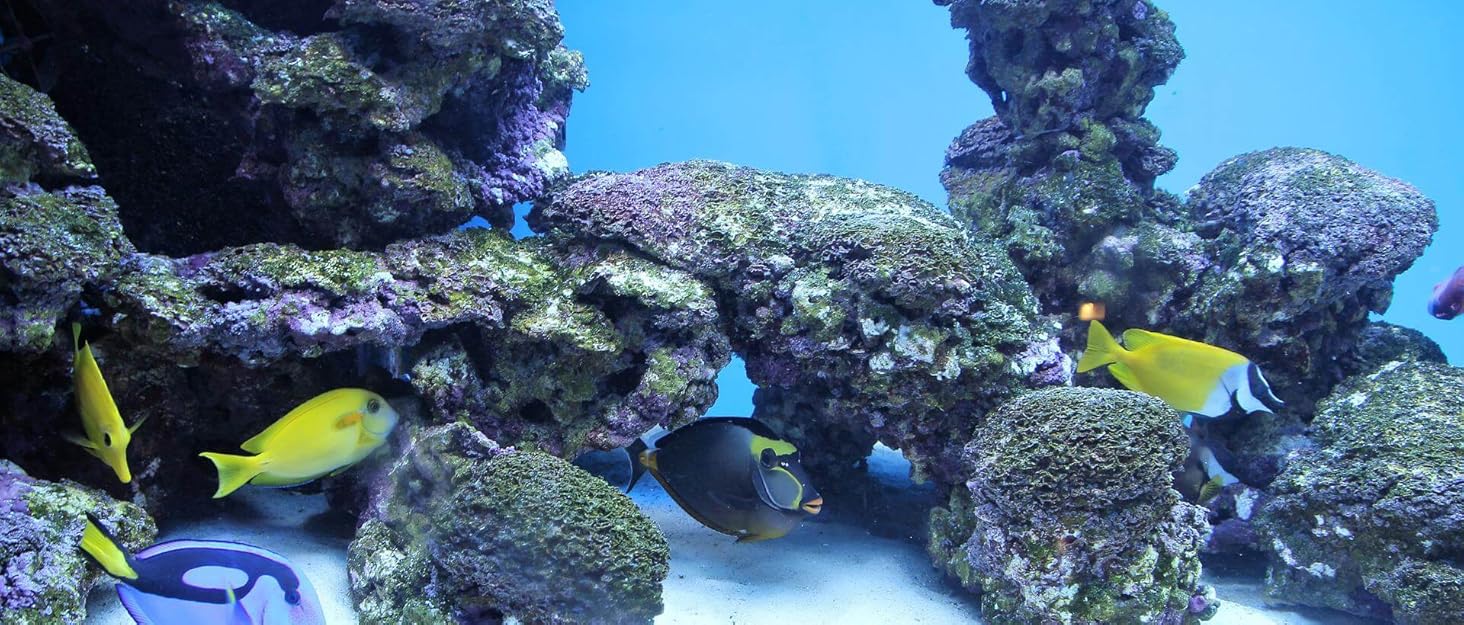 aquarium air pump for fish tank