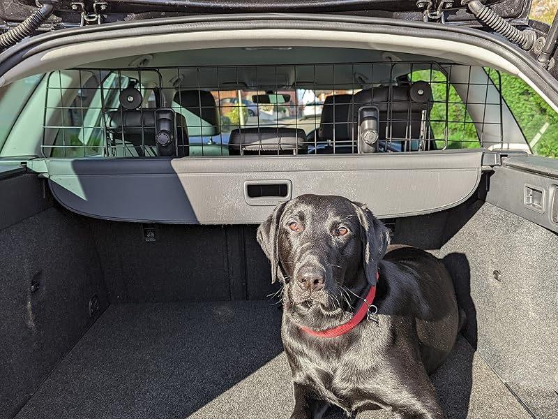 Speedwellstar Dog Guard Car Universal 3kg Ex Strong Fixings Travel Mesh