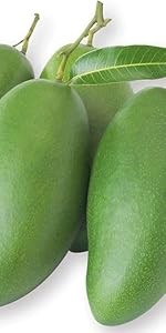 摘果マンゴー　約10.5kg 摘果マンゴー グリーンマンゴー 10kg(50g〜140g) 食品