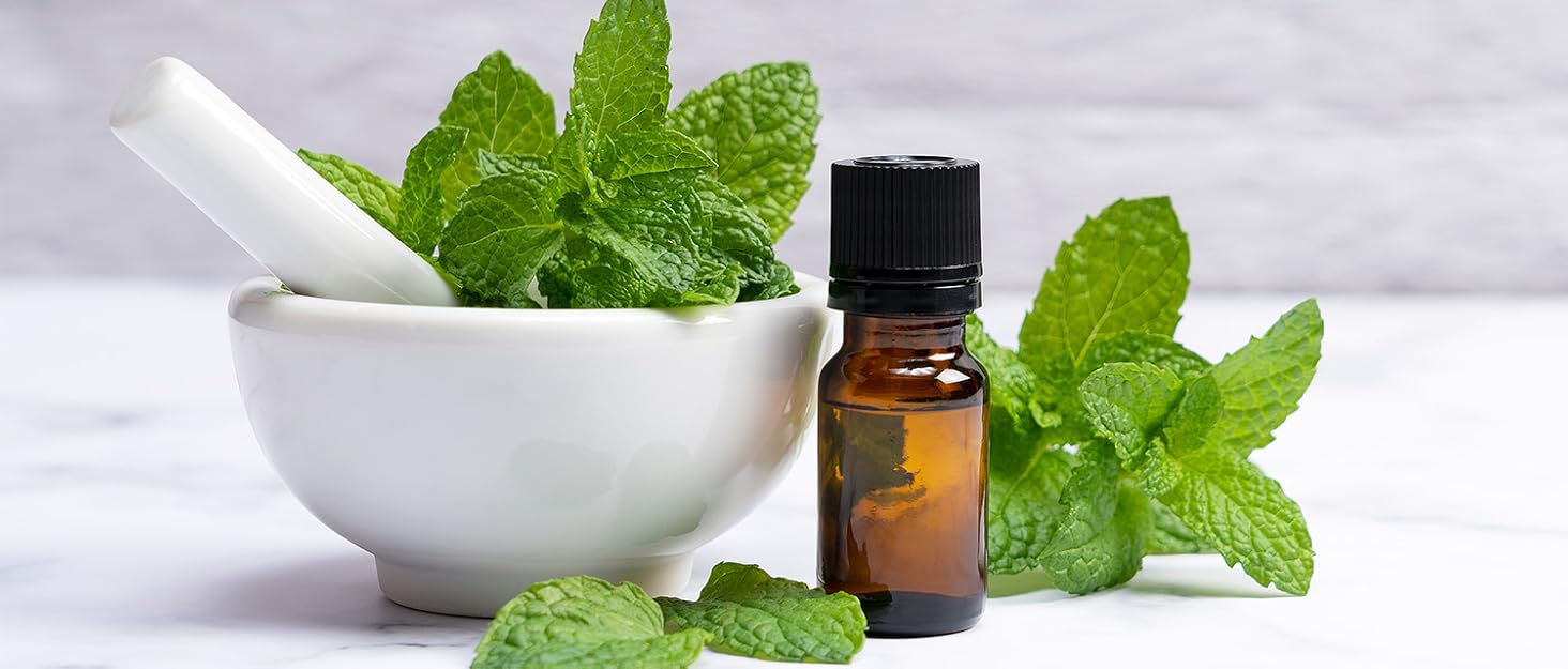 nasal spray adults kids clear revive allergies dryness congestion