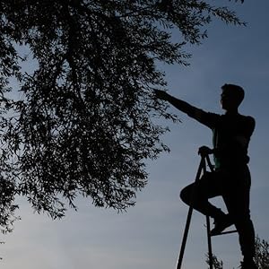 Huile d'olive extra vierge