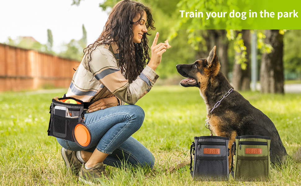 Dog Treat Training Pouch