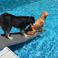 500lb capacity dog ramp pool kit