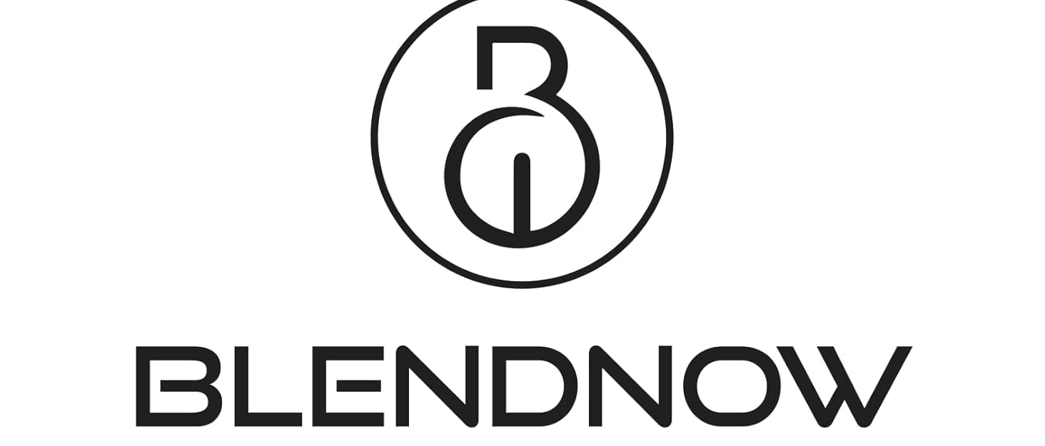 Blendnow Personal Size Blender, Portable Blender for Shakes