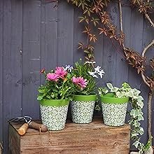 green outdoor plant pots