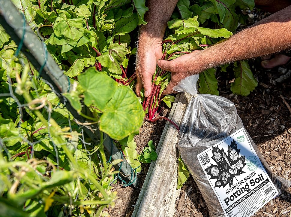 Jocelyn's Peat Free Potting Soil Indoor or Outdoor Supercharged Soil