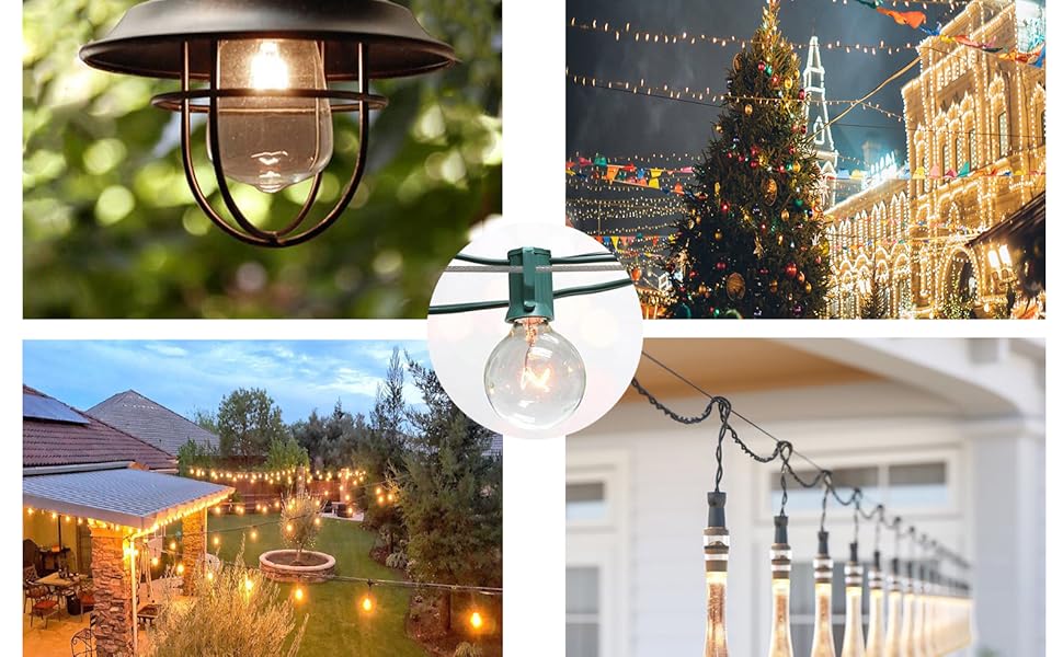 BRISBONN 50M/2mm Wire Rope Kit,304 Stainless Steel Metal Cable, M5