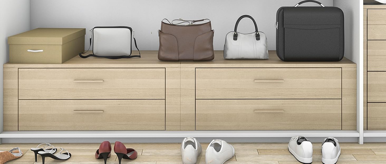 DSVENROLY 1PC Plastic Handbag and Purse Organizer for Closet, Shelf