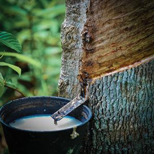 Small manufacture image 4