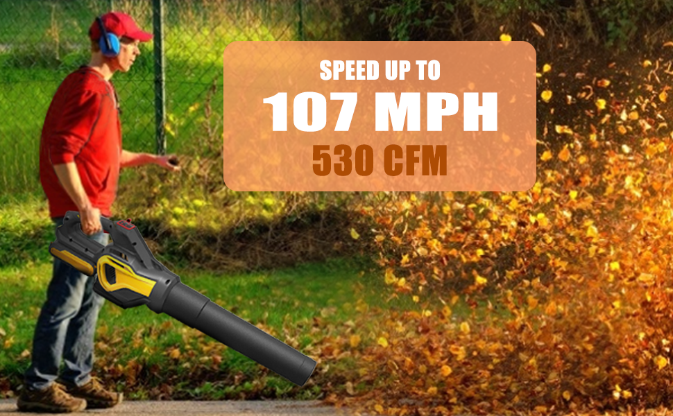AS 40V Cordless Leaf BlowerLeaf Blower with 2.5 Ah Lithium