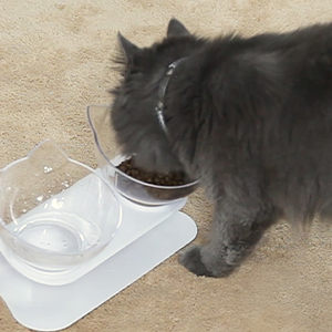 Cat Bowls with Stand Tilted 15° - Raised Cat food bowl with scoop, Anti over-turned and Anti spill Tilted Cat Bowl, Feeding and Water Supplies for Cat 20 cat bowl
