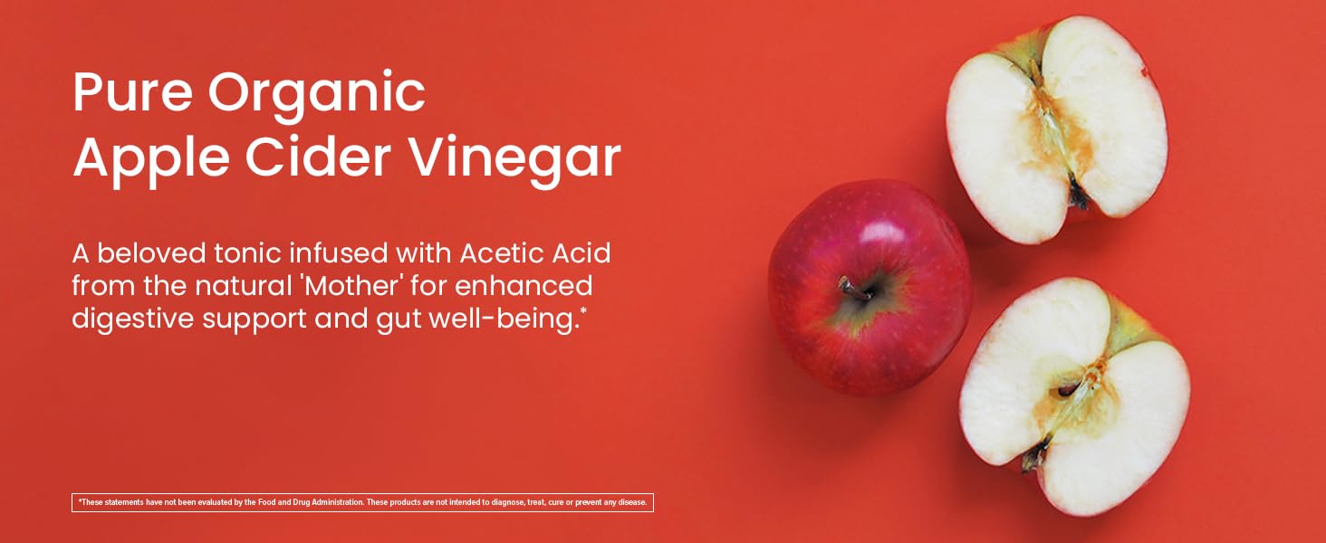 belly fat burner for women acv gummies