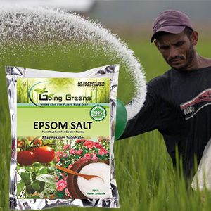 Small manufacture image 5