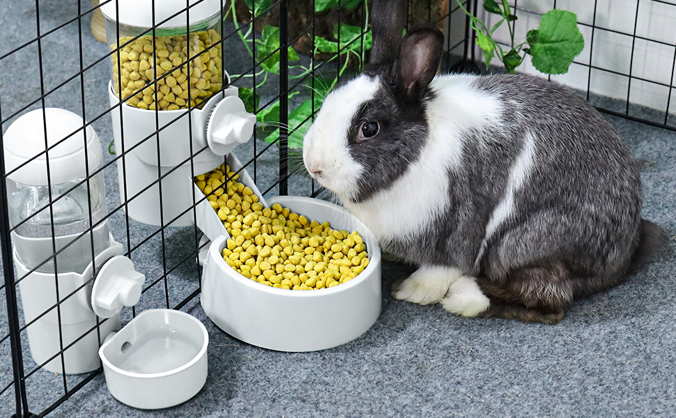 Pet Supplies Bunny Automatic Food Feeder& Water Dispenser & Pet