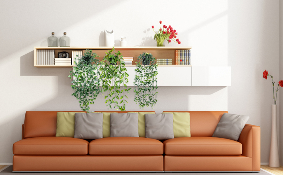 hanging plant
