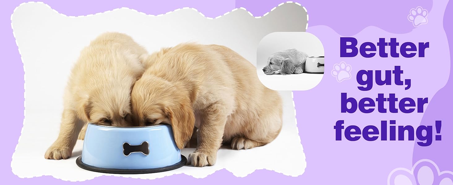 Dog Probiotic Chews