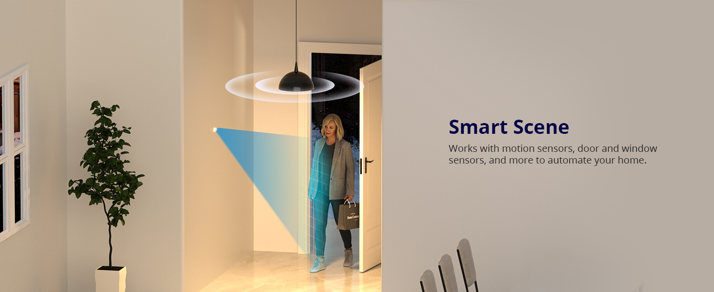 minir4 smart scene